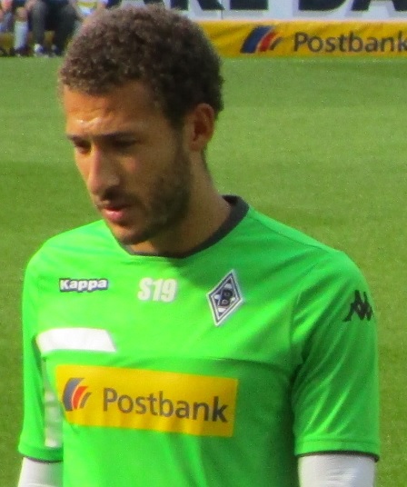 Fabian Johnson